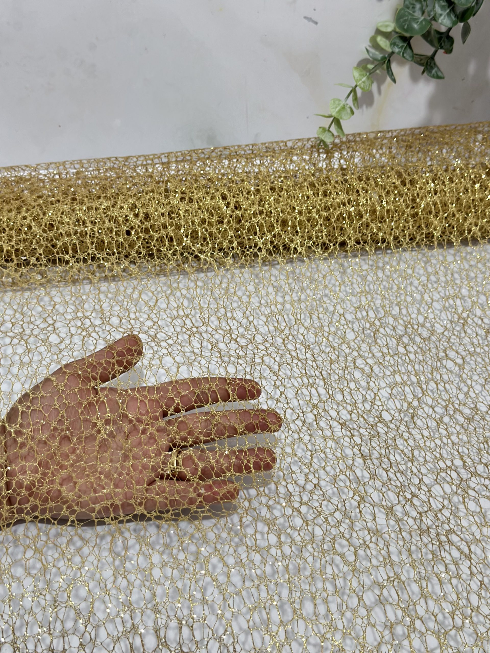 تور اکلیلی تور اکلیلی