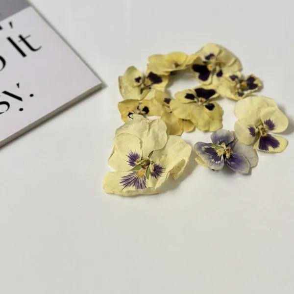 گل خشک بنفشه