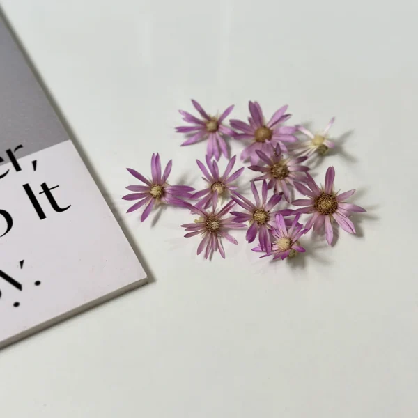 گل خشک مرواریدی