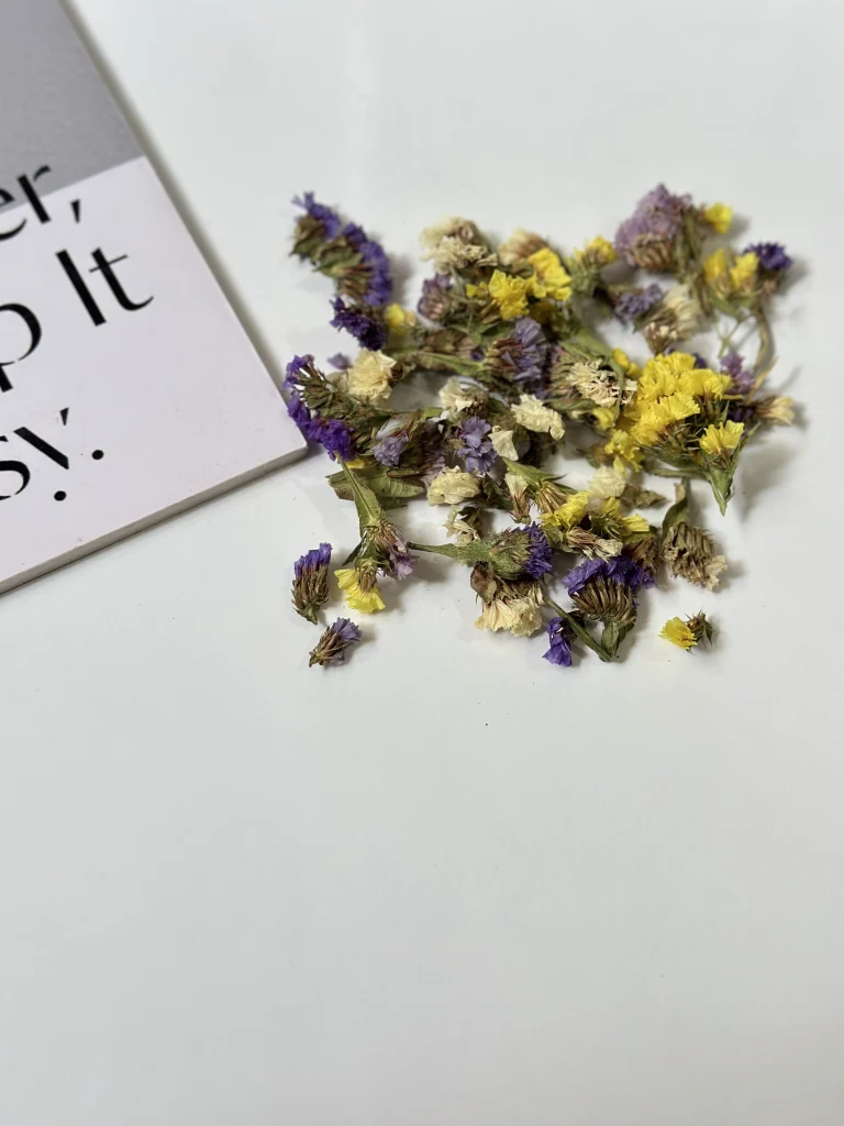 گل خشک اساتیس