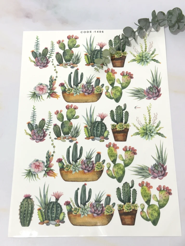 ترانسفر کاکتوس