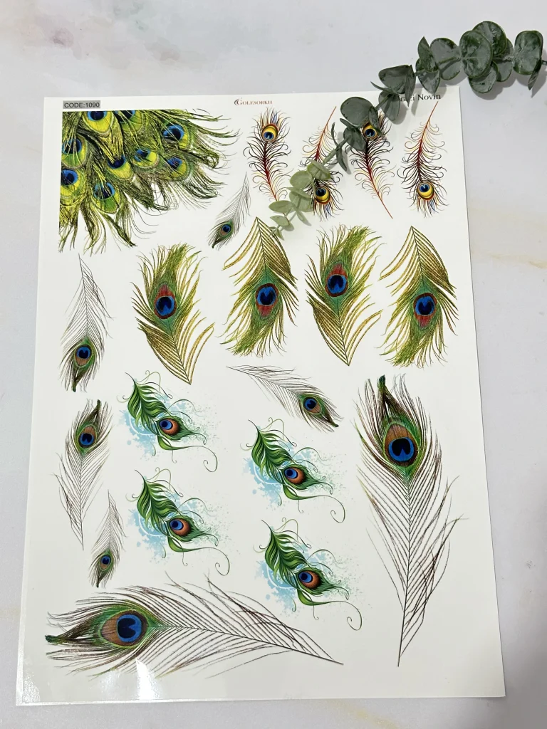 ترانسفر طاووس