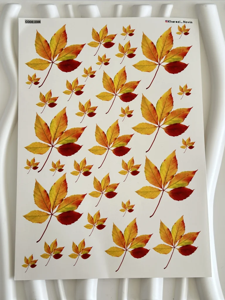 ترانسفر پاییزی کد2306