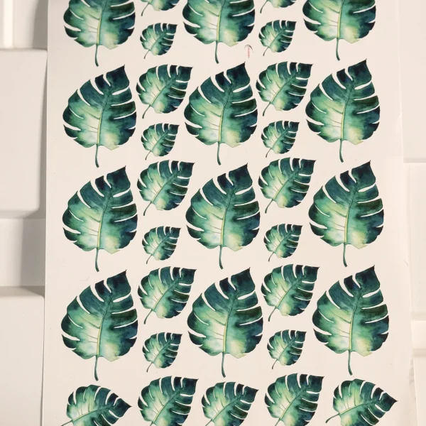 ترانسفر برگ انجیری