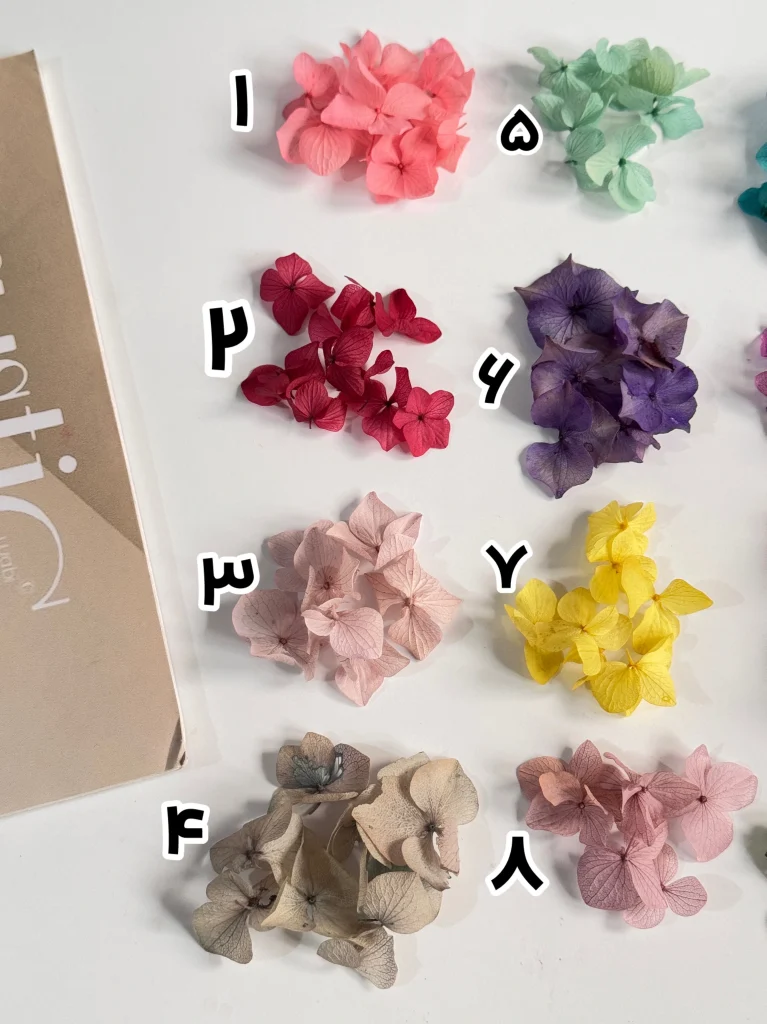 گل هورتنسا تزیینی