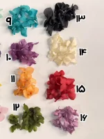 گل جاودان هورتنسا