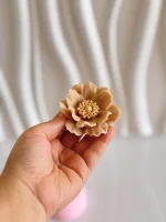 مولد شقایق روسی