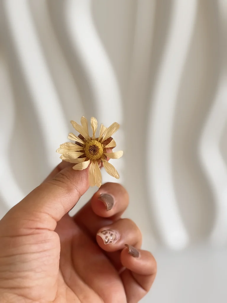 گل خشک بابونه ارزان