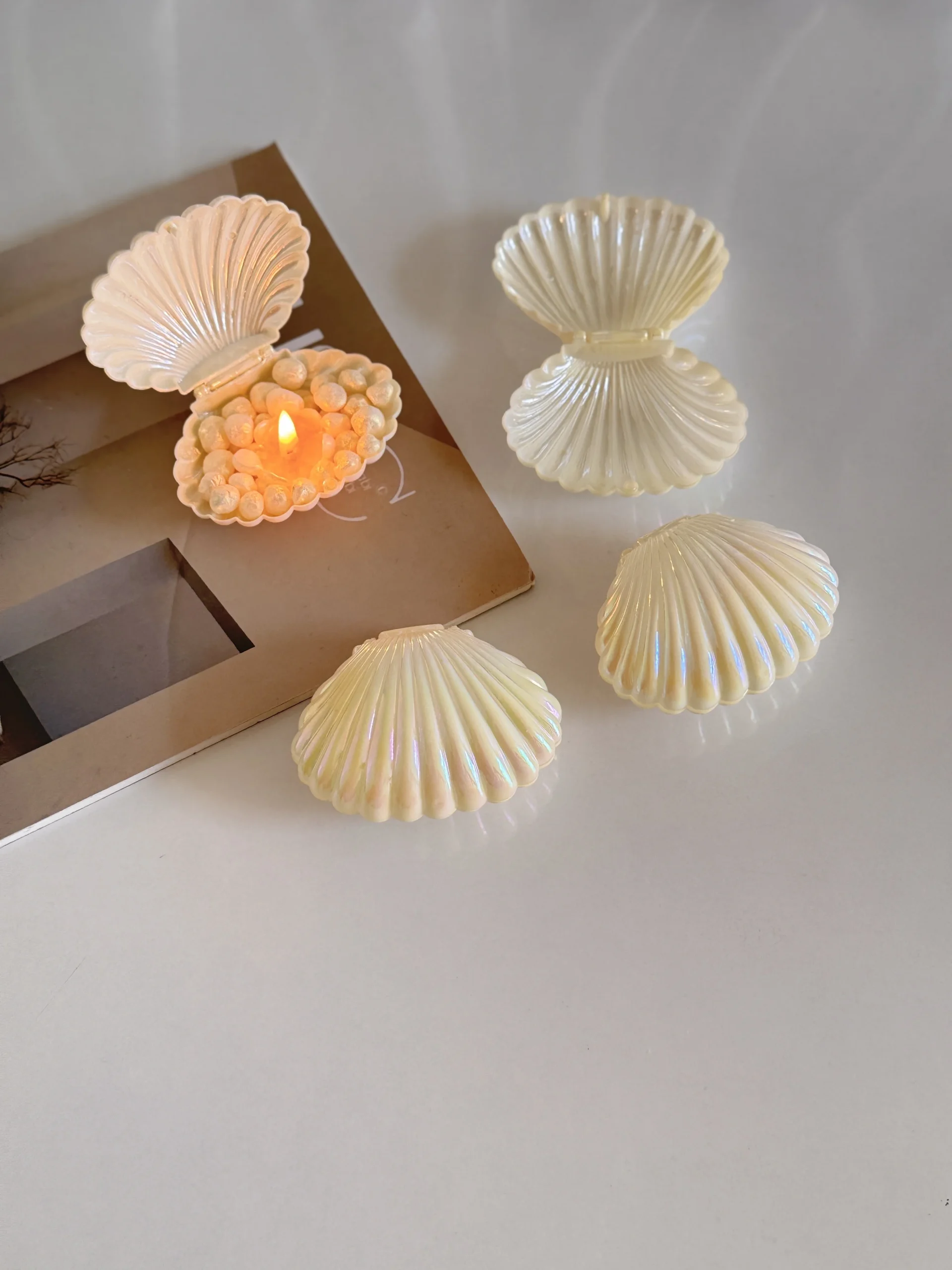 ظرف گیفت صدف ظرف گیفت صدف