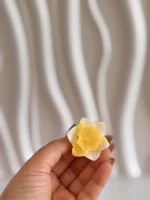 مولد گل نرگس